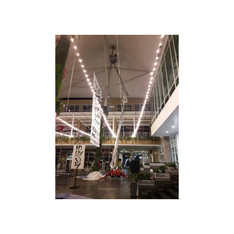 NEUWERTH Logistics SA - Palazzani - PALAZZANI TZX 225 C/R - Piattaforme ragno