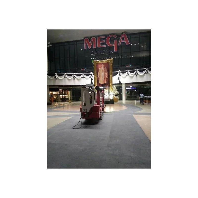 NEUWERTH Logistics SA - Palazzani - PALAZZANI TZX 225 C/R - Piattaforme ragno