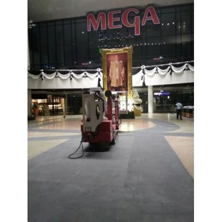 NEUWERTH Logistics SA - Palazzani - PALAZZANI TZX 225 C/R - Piattaforme ragno