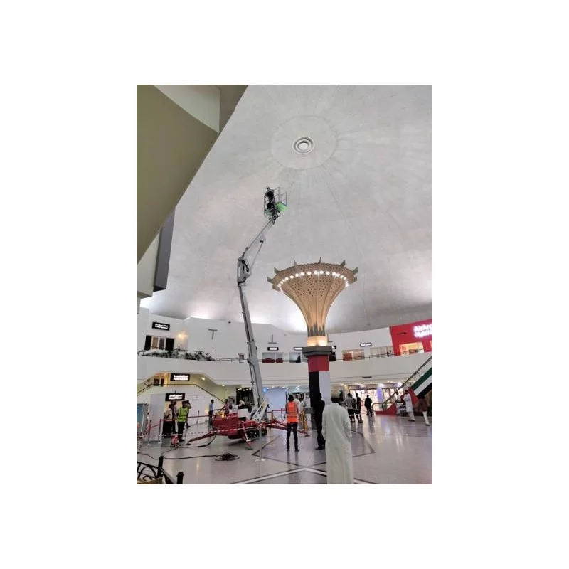 NEUWERTH Logistics SA - Palazzani - PALAZZANI TZX 225 C/R - Piattaforme ragno