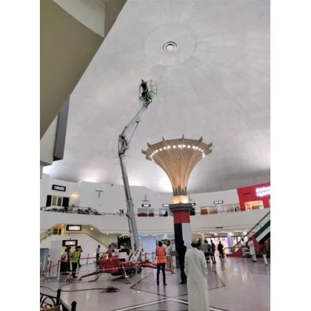 NEUWERTH Logistics SA - Palazzani - PALAZZANI TZX 225 C/R - Piattaforme ragno