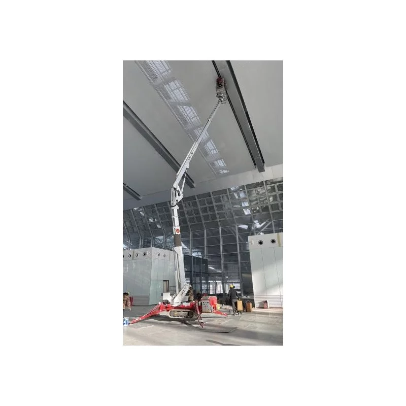 NEUWERTH Logistics SA - Palazzani - PALAZZANI TZX 250 C/R - Spider aerial platform