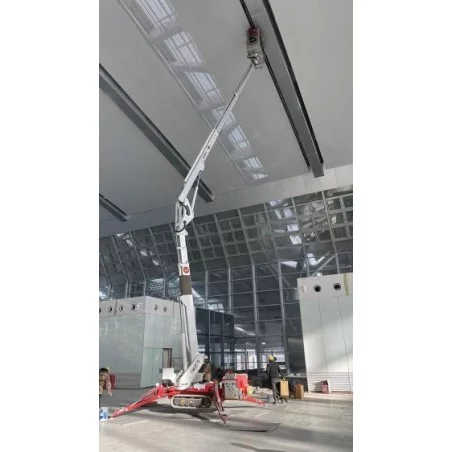 NEUWERTH Logistics SA - Palazzani - PALAZZANI TZX 250 C/R - Spider aerial platform