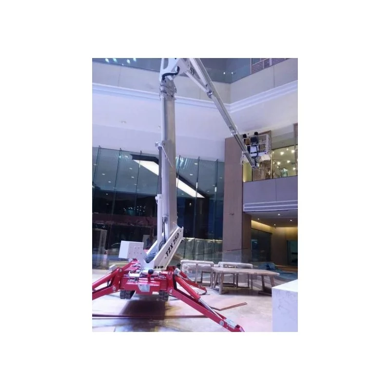 NEUWERTH Logistics SA - Palazzani - PALAZZANI TZX 250 C/R - Spider aerial platform