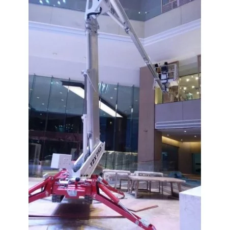 NEUWERTH Logistics SA - Palazzani - PALAZZANI TZX 250 C/R - Spider aerial platform