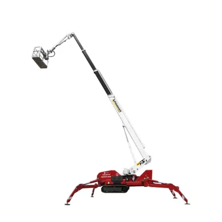 PALAZZANI TSJ 23.1 C/R