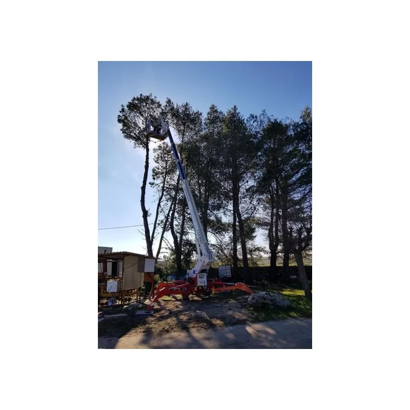 NEUWERTH Logistics SA - Palazzani - PALAZZANI TSJ 23.1 C/R - Spinnenhebebühne