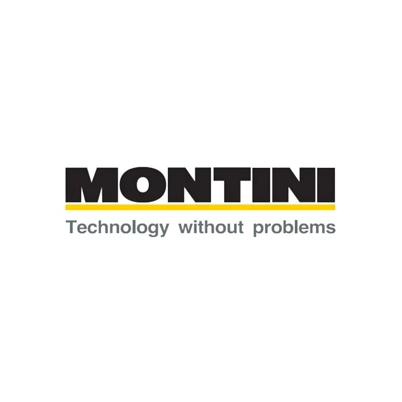 Montini